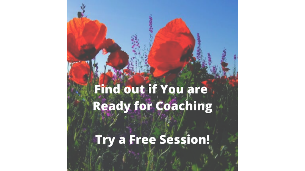 Free Coaching Sessions